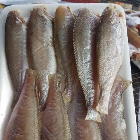  Khô Cá Đù 1 nắng Cà Mau -500Gram 