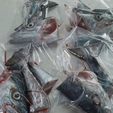  Đầu đuôi cá Thu 