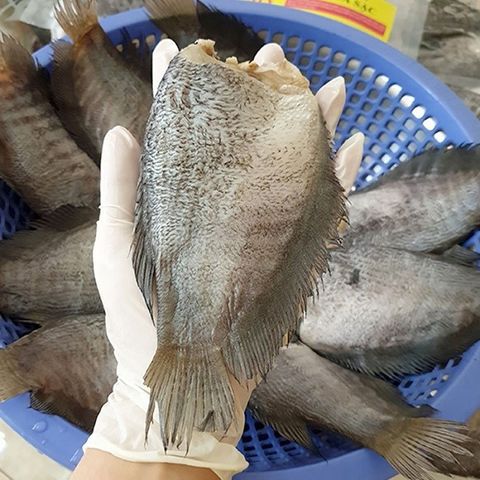  Khô Cá Sặc Đặc Sản Cà Mau.-500 Gram 