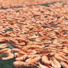  Tôm khô đất Cà Mau (500g) 